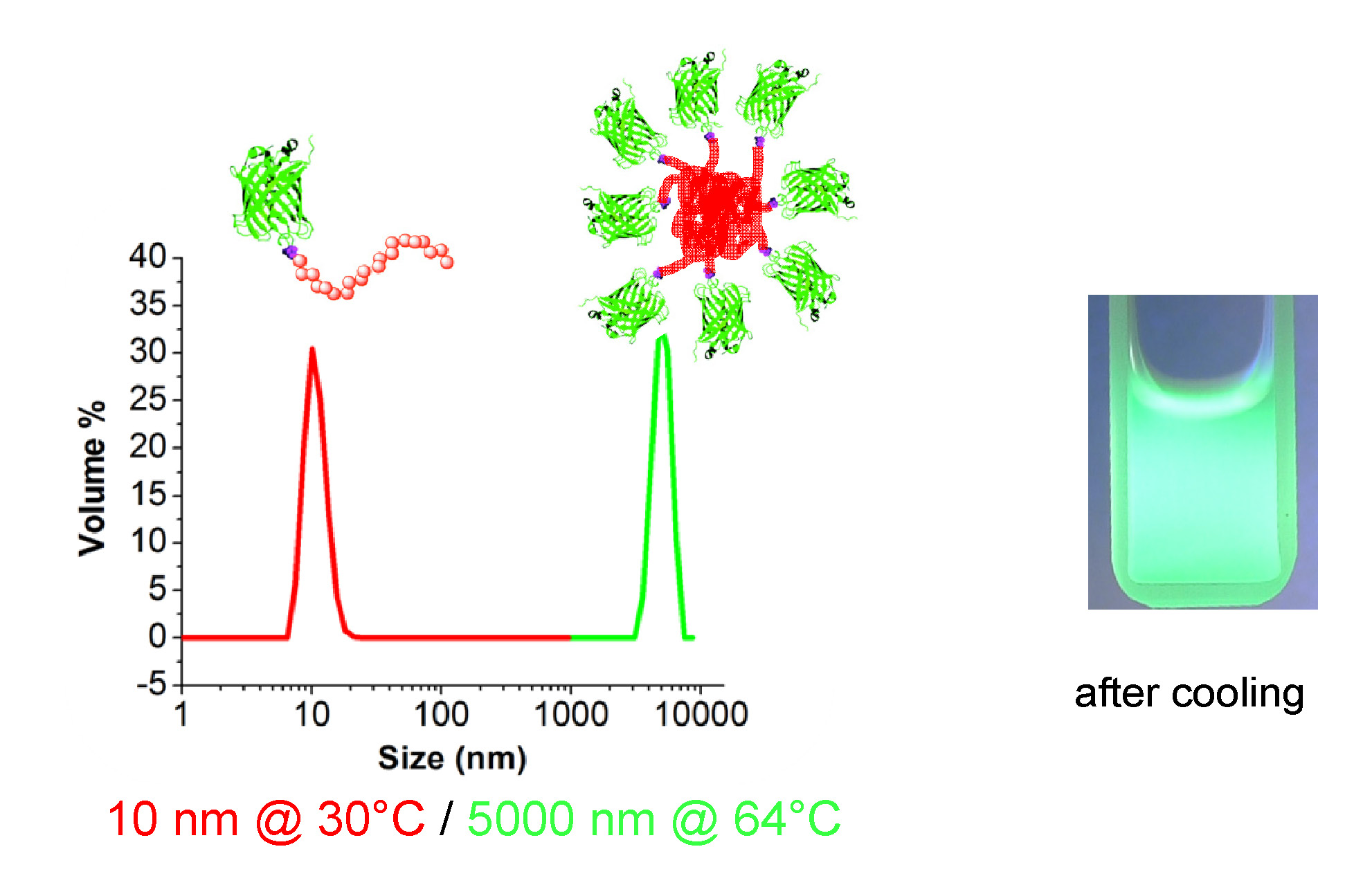 11k thermoresponsive